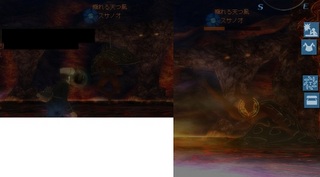 20130224a.jpg